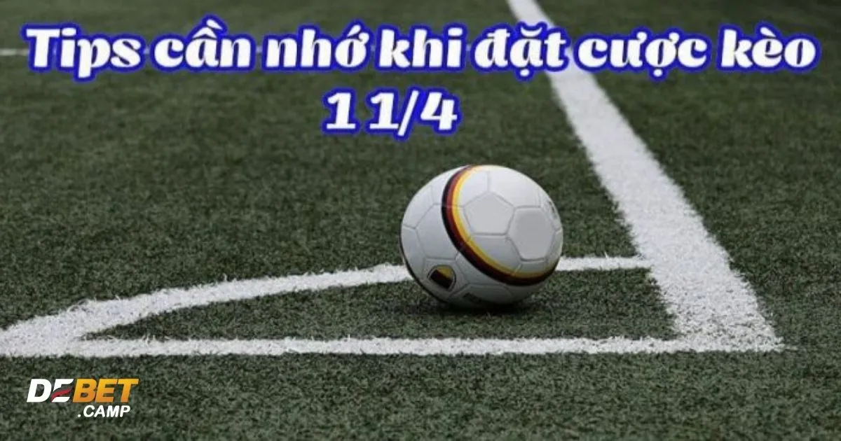 Kèo 1 1/4 (1.25) Là Gì? Cách Đọc Kèo & Đặt Cược Chính Xác 4 Kèo 1 1/4 (1.25) Là Gì? Sự khác biệt giữa kèo 1 1/4 & kèo chấp 1 trái