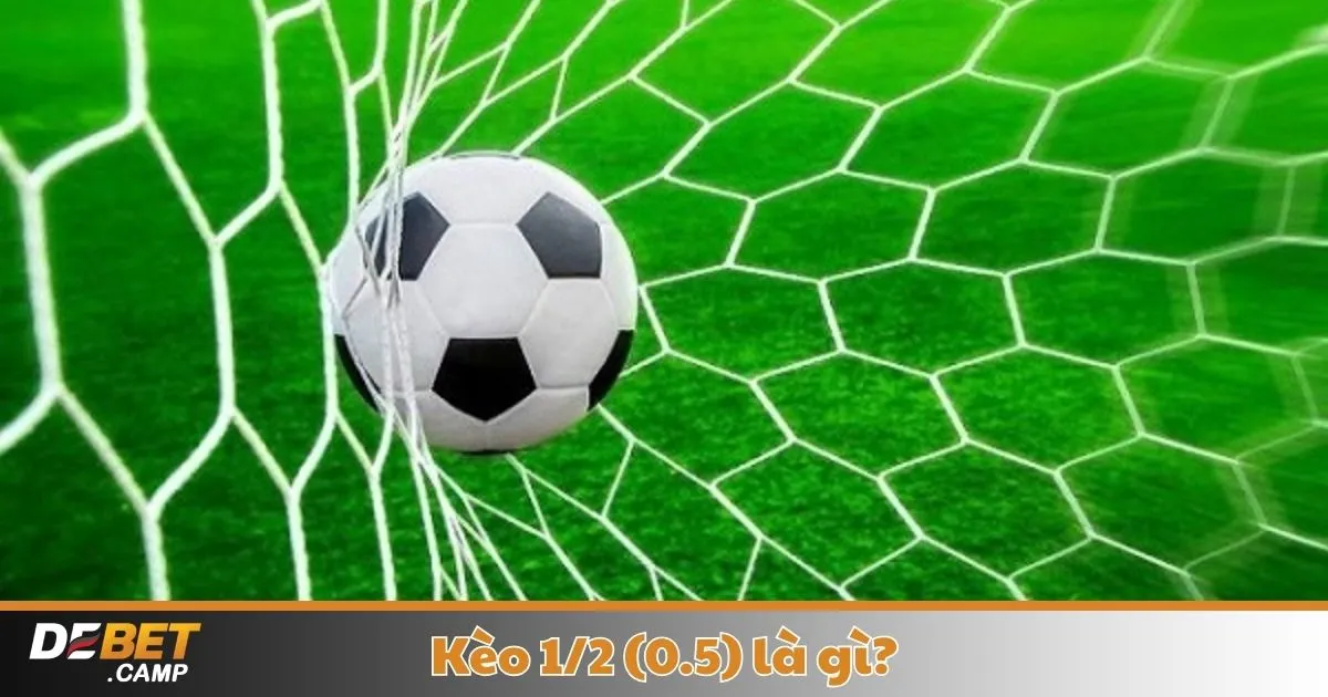 Kèo 1/2 (0.5) Là Gì? Cách Đọc Kèo & Chiến Thuật Cá Cược 2 Kèo 1/2 (0.5) Là Gì? Khi Nào Nhà Cái Đưa Ra Kèo 1/2 & Khi Nào Nên Đặt Cược?